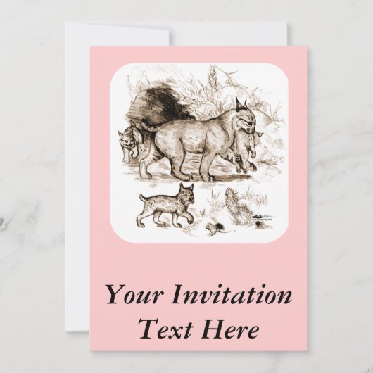 Bobcat-familie Kaart (Voorkant)