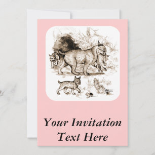 Bobcat-familie Kaart