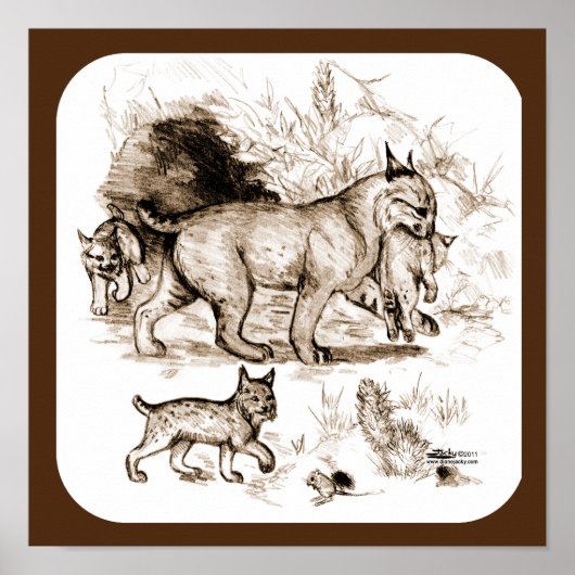Bobcat-familie Poster (Voorkant)