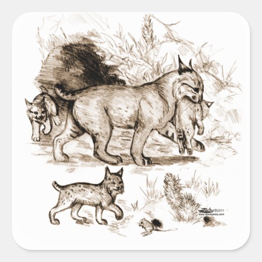 Bobcat-familie Vierkante Sticker (Voorkant)