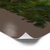 Bobcat Forest Wildlife Perfect Poster (Hoek)