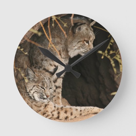 Bobcat-fotoklok Ronde Klok (Voorkant)