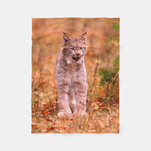 Bobcat Hunting | Autumn Forest Fleece Deken (Voorkant)