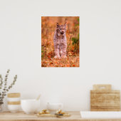 Bobcat Hunting | Autumn Forest Poster (Keuken)
