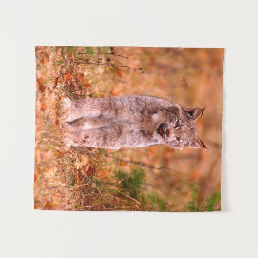 Bobcat Hunting | Autumn Forest Wandkleed (Voorkant (horizontaal))