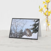 Bobcat Kaart (Gele Bloem)