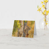 Bobcat Kaart (Gele Bloem)