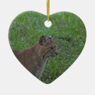 Bobcat Keramisch Ornament