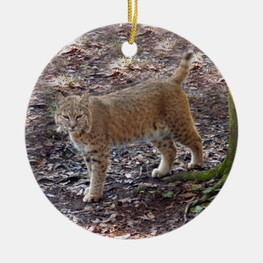 Bobcat-kerstversiering Keramisch Ornament (Voorkant)