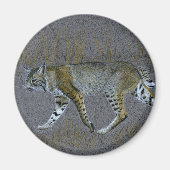 Bobcat Magneet (Voorkant)