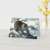 Bobcat op sneeuw kaart (Gele Bloem)