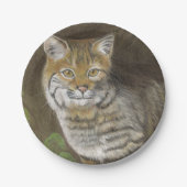 Bobcat Papieren Bordje (Voorkant)