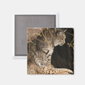 Bobcat Photos Magnet Carré (Recto/Verso)