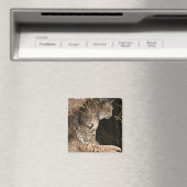 Bobcat Photos Magnet Carré (In Situ (Lave-vaisselle))