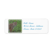 Bobcat Prowling Etiket (Voorkant)