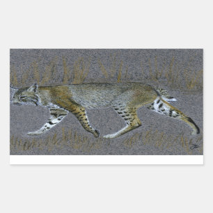 Bobcat Rechthoekige Sticker