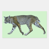 Bobcat Rechthoekige Sticker (Voorkant)