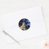 Bobcat Ronde Sticker (Envelop)