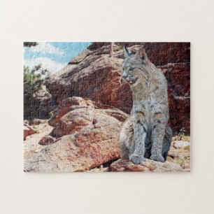 Bobcat rust tussen rotsen in bergen legpuzzel
