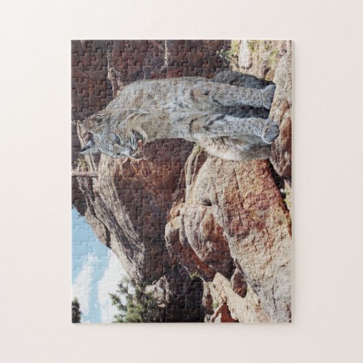 Bobcat rust tussen rotsen in bergen legpuzzel (Verticaal)