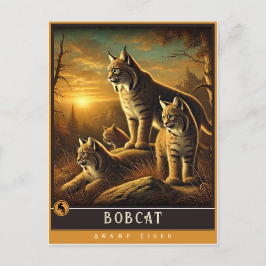 Bobcat | Schattige familie Briefkaart (Voorkant)