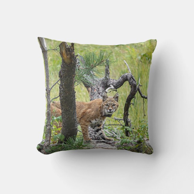Bobcat-Sierkussen Kussen (Voorkant)