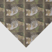 Bobcat Tissuepapier (Detail)