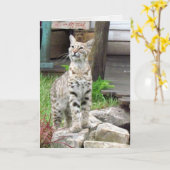 Bobcat-Wenskaart Kaart (Gele Bloem)