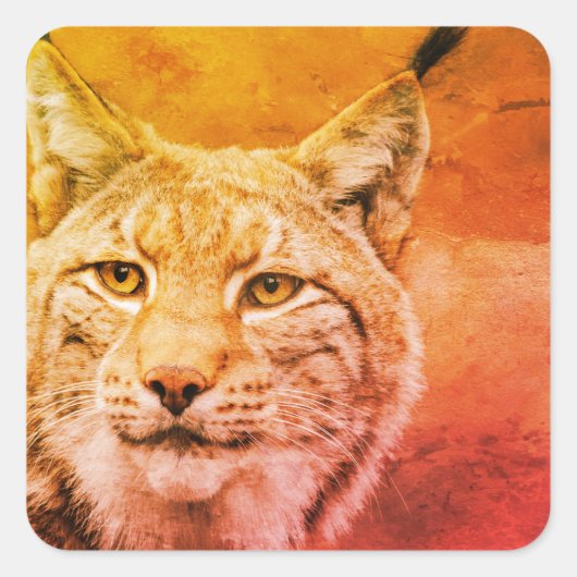 Bobcat Wildlife Stickers (Voorkant)