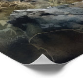 Bobcat Woodland Animal Art Imprimer Poster (Coin)