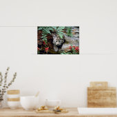 Bobcat-young kitten in holle bloemen poster (Keuken)