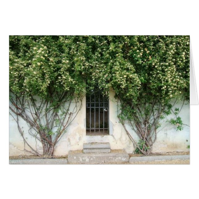 Boboli Gardens (Devant Horizontal)