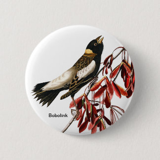 Bobolink van John James Audubon, Birder, Rice Bird Ronde Button 5,7 Cm