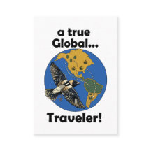 Bobolink Vogel Echte Globale Reiziger Reizen