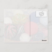 Bob's Fun met Yarn Briefkaart (Achterkant)