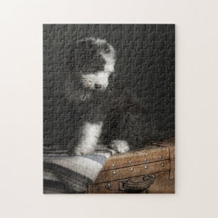 Bobtail puppy portret in studio legpuzzel