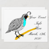 Bobwhite Blue-throated Quail Thunder_Cove (Voorkant / Achterkant)