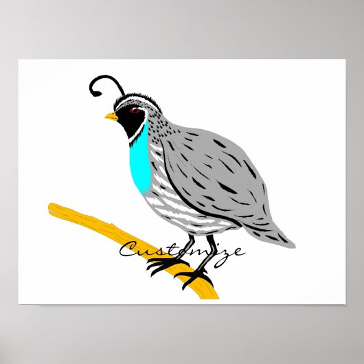 Bobwhite Blue-throated Quail Thunder_Cove Poster (Voorkant)