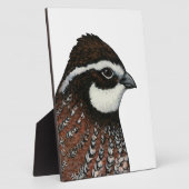 Bobwhite Kwartalkop Fotoplaat (Zijkant)