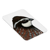 Bobwhite Kwartalkop Magneet (Rechterzijde)