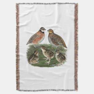 Bobwhite Kwartelfamilie Deken