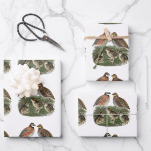 Bobwhite Kwartelfamilie Inpakpapier Vel