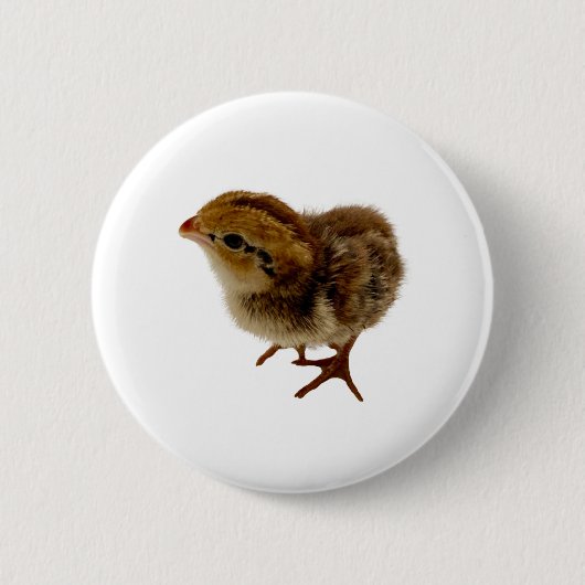 Bobwhite Quail Chick Ronde Button 5,7 Cm (Voorkant)