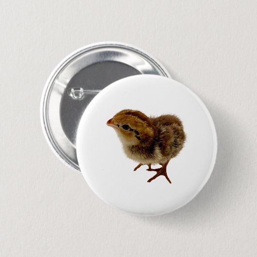 Bobwhite Quail Chick Ronde Button 5,7 Cm (Voorkant /achterkant)
