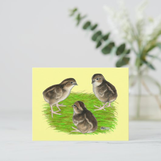 Bobwhite Quail Chicken Briefkaart (Staand voorkant)