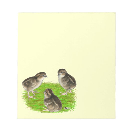 Bobwhite Quail Chicken Notitieblok (Voorkant)