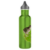 Bobwhite Quail Chicken Waterfles (Links)