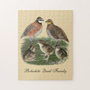 Bobwhite Quail familie Legpuzzel