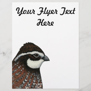 Bobwhite Quail Flyer
