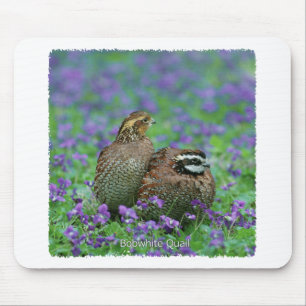 Bobwhite Quail-fotografie Muismat